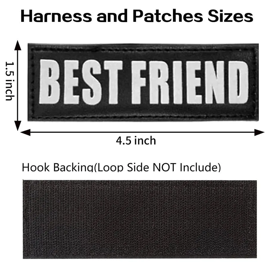 10 Patches in 1 Set (1)