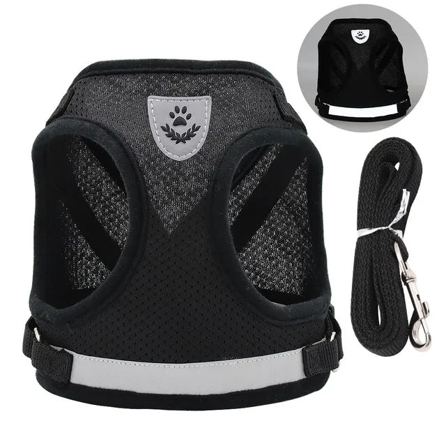 Breathable Cat Harness and Leash Set