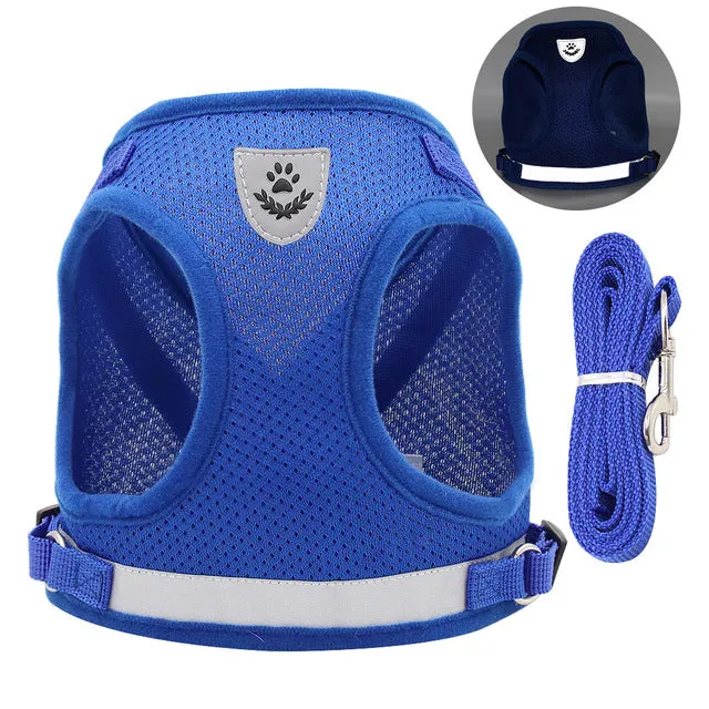 Breathable Cat Harness and Leash Set