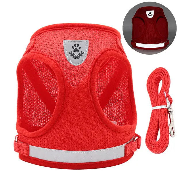 Breathable Cat Harness and Leash Set
