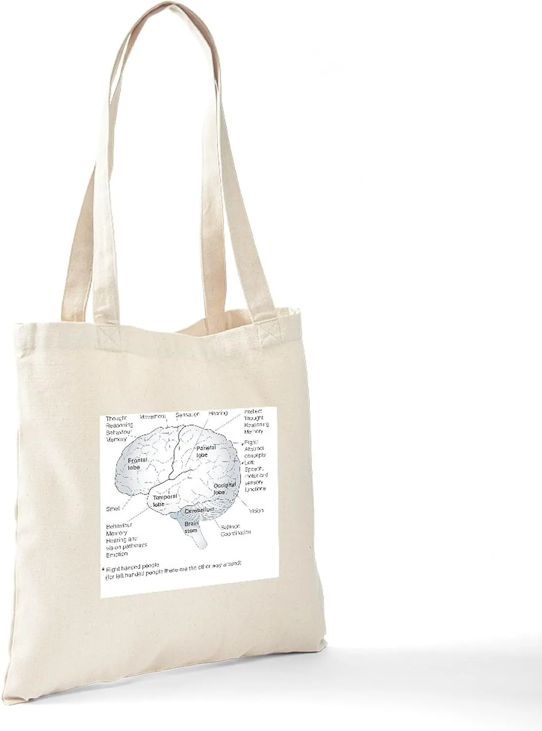CafePress Functional Areas Of The Brain, Artwork Tote Bag Natural Canvas Tote Bag, Reusable Shopping Bag