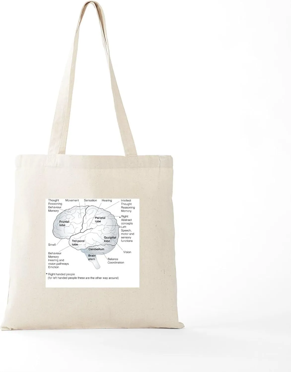 CafePress Functional Areas Of The Brain, Artwork Tote Bag Natural Canvas Tote Bag, Reusable Shopping Bag