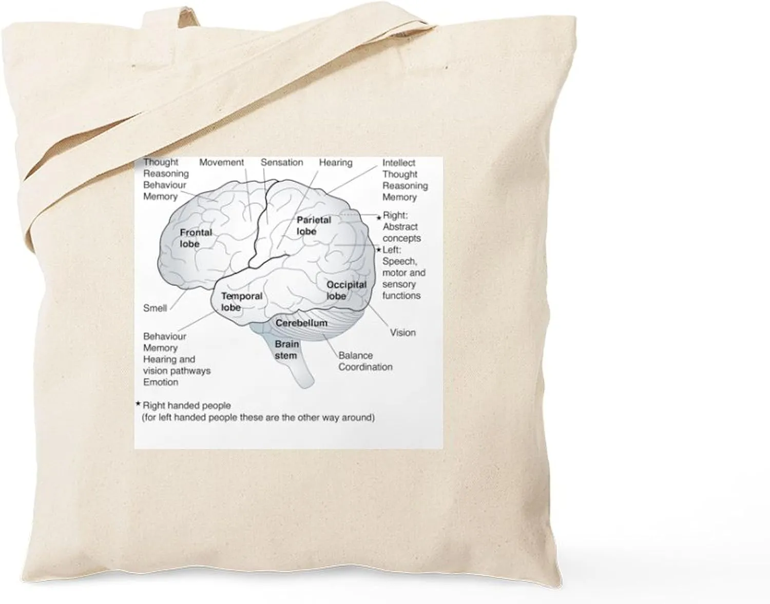 CafePress Functional Areas Of The Brain, Artwork Tote Bag Natural Canvas Tote Bag, Reusable Shopping Bag