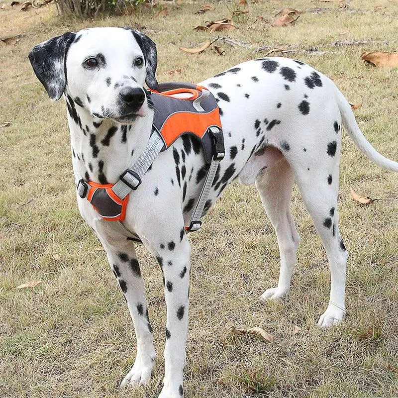 Chest Straps Reflective Vests Pet Leashes Dog Leashes