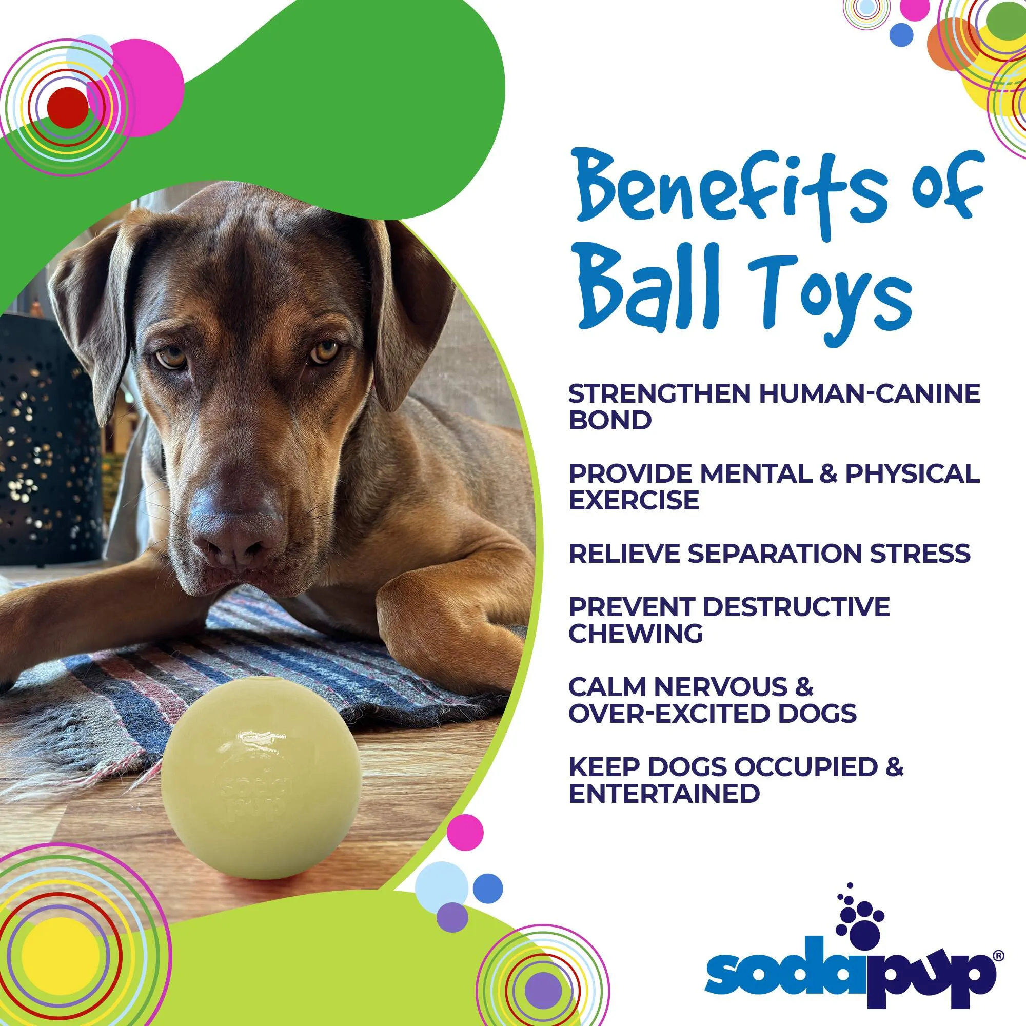 SodaPup Squeak Ball Ultra Durable PUP-X Squeaking, Chewing, Floating & Retrieving Ball Dog Toy