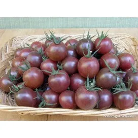 Tomato Cherry Tomato: Heirloom, by Renee's Garden